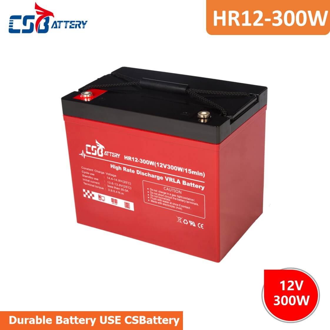 HR12-300W High Discharge Rate Battery